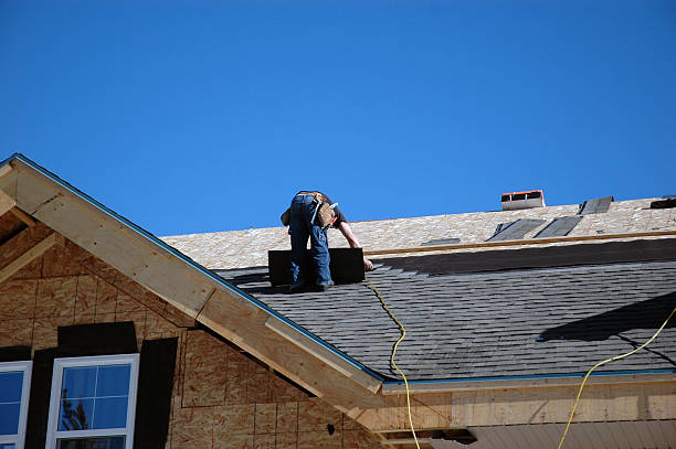 Best Roof Gutter Cleaning  in Lees Summit, MO