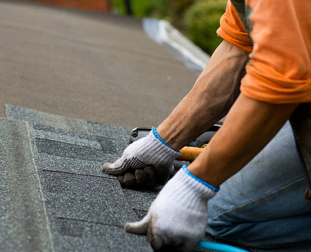 Best Metal Roofing Contractor  in Lees Summit, MO