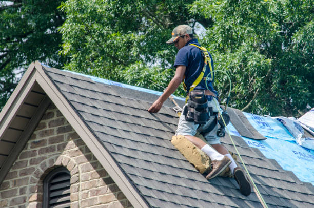 Best New Roof Installation  in Lees Summit, MO